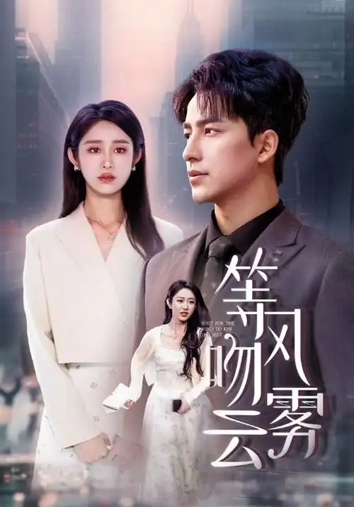无声证词 刑侦剧全集手机在线观看